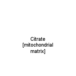 Citrate [mitochondrial matrix]